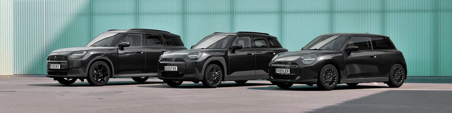 MINI Blackyard Family